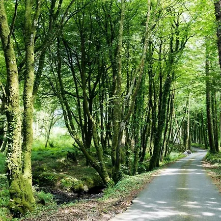 Warrensgrove Estate Self Catering * Crookstown