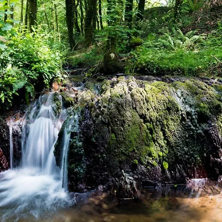 Warrensgrove Estate Self Catering * Crookstown