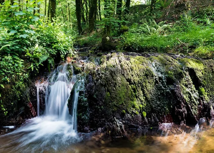 Warrensgrove Estate Self Catering * Crookstown